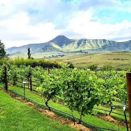 At Our Meerkat And Rehoboth Self Catering Lodges, Clarens Exterior photo