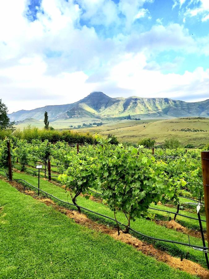 At Our Meerkat And Rehoboth Self Catering Lodges, Clarens