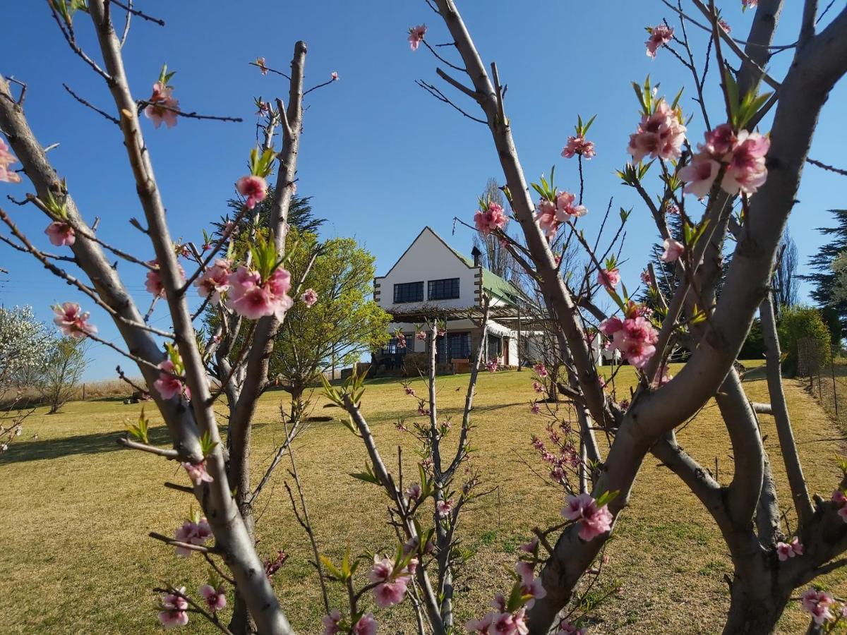 Apartment At Our Meerkat And Rehoboth Self Catering Lodges, Clarens